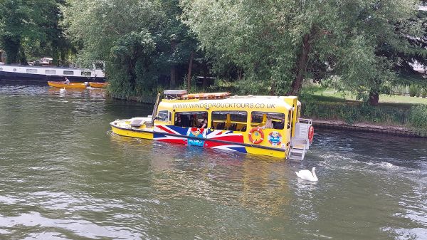 Soon after departure we were passing DUKW's & Swans swimming. Soon after departure we were passing DUKW's & Swans swimming.