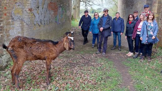 Some walkers with the local livestock!