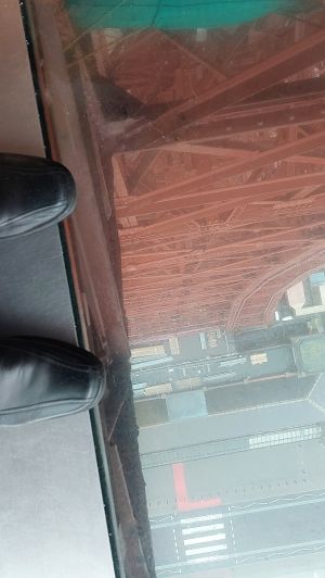 A disconcerting view from the tower eye