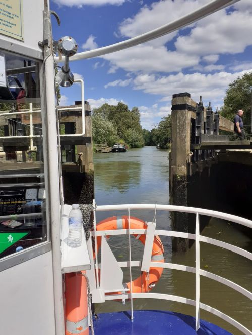 Kentish Lady Trip3