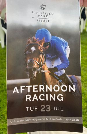 Lingfield Races 2